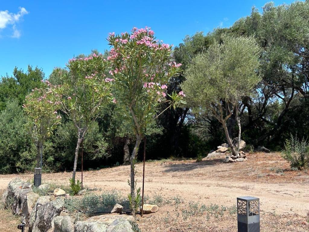 La Piana Holiday House Bassacutena Buitenkant foto